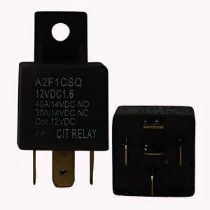 Relay (12V) SPDT 1001287118